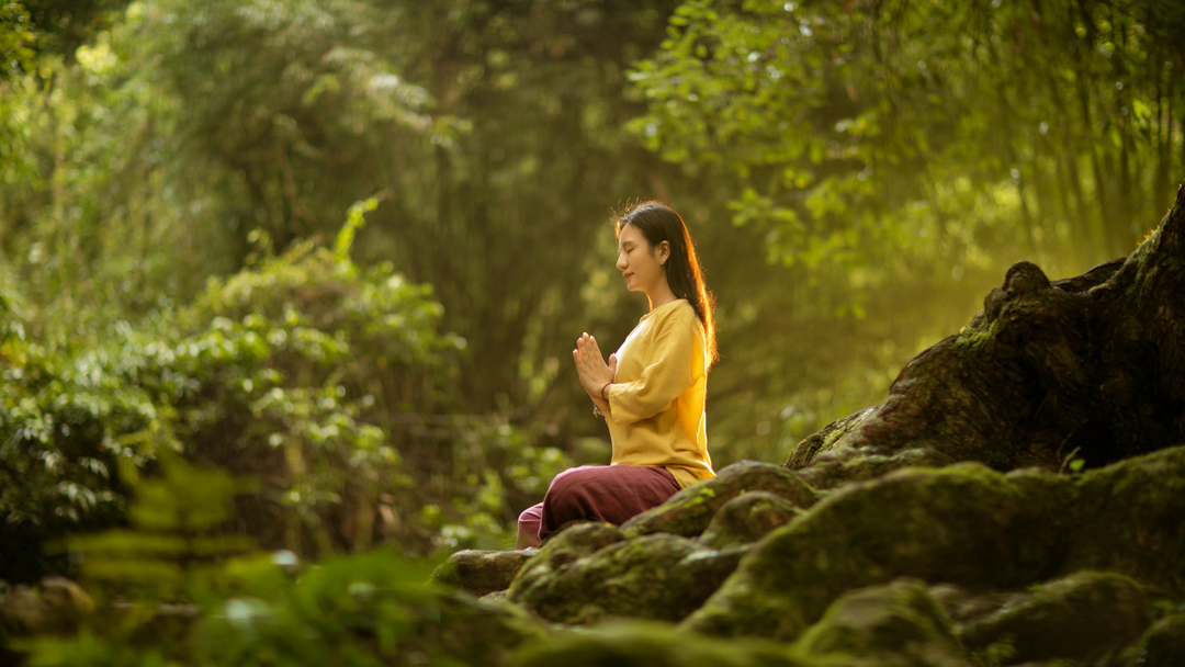 Why Everyone Should Try Forest Bathing