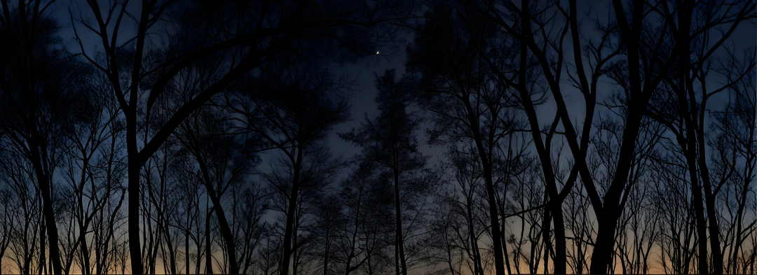 Scent-Pairing for Moods: Focus, Sleep, and Calm