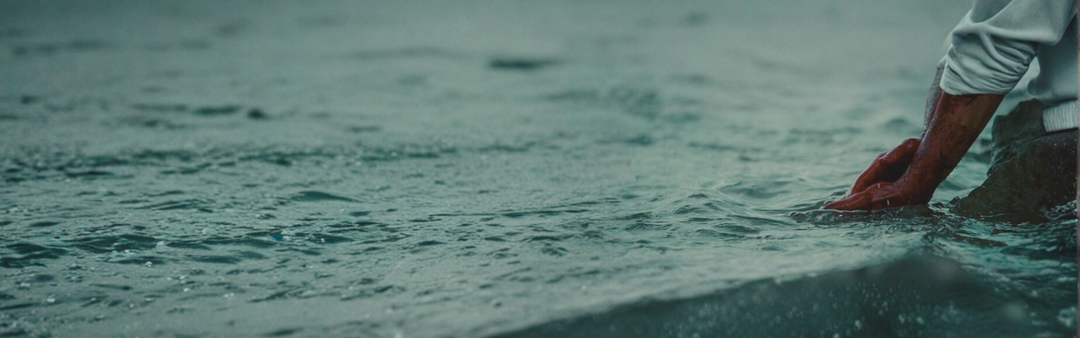 The Science of Scent — How Terpenes Trigger Your Nervous System to Relax