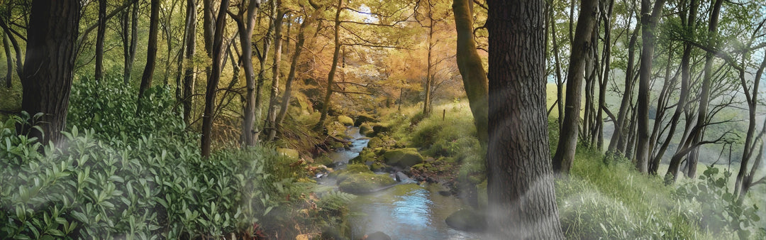 Terpenes 101: Why Mediterranean Forest Scents Feel So Calming