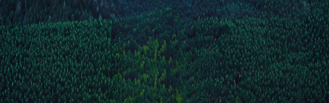 Vagus Nerve Activation Rituals — Daily Practices to Reset Your System