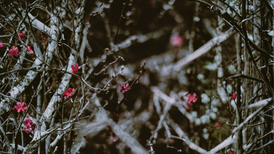 Build Your 10-Minute Nervous System Reset (Scent + Soak + Touch)