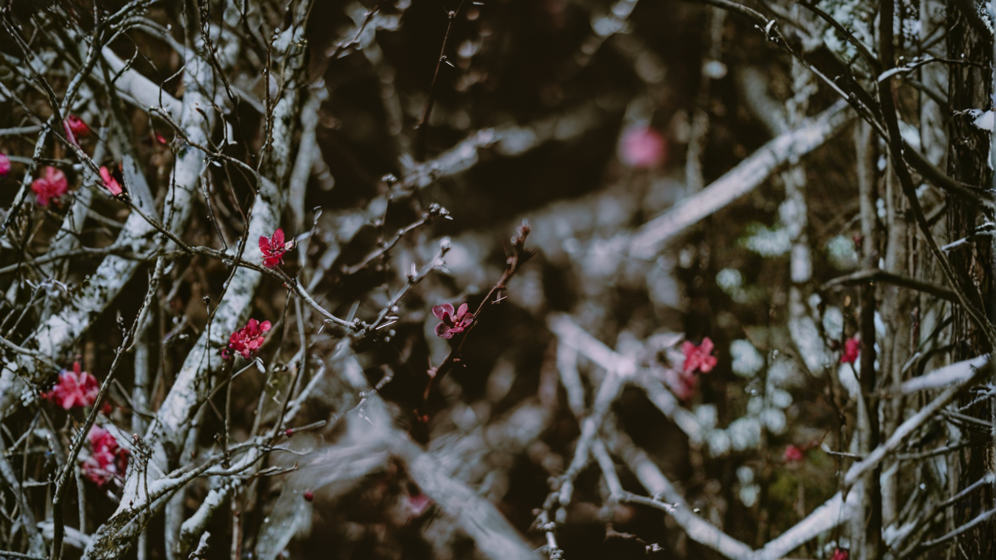 Build Your 10-Minute Nervous System Reset (Scent + Soak + Touch)